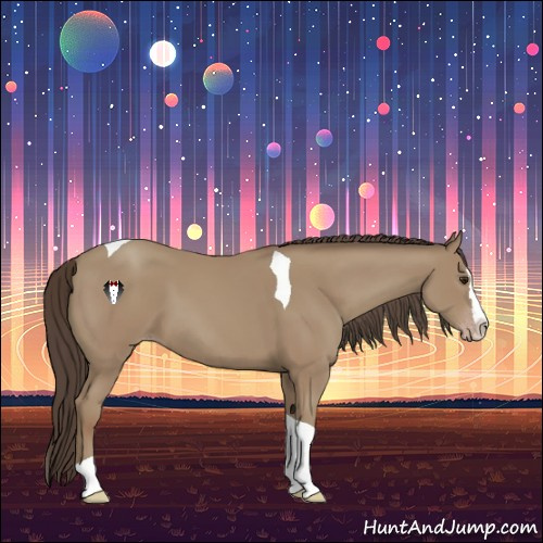 Horse Color:Classic Champagne Splash Tobiano