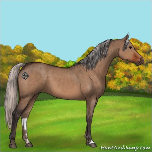 Horse Color:Bay Dun and Silver Bay Dun