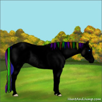 Horse Color:Void Painted White Spotted Liver Chestnut Ice Pearl Sabino Splash Appaloosa Rabicano 