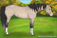 Horse Color:Bay Roan Dun Splash 