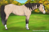 Horse Color:Bay Roan Dun Splash 
