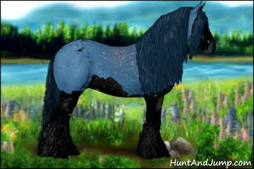 Horse Color:ERROR: UNKNOWN ANOMALY