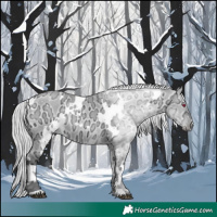 Horse Color:White Spotted Silver Bay Chinchilla Ice Dun 