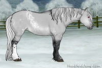 Horse Color:White Spotted Silver Brown Chinchilla Dun 