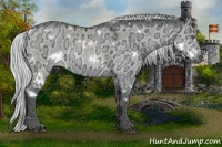 Horse Color:White Spotted Silver Brown Chinchilla Ice Dun 