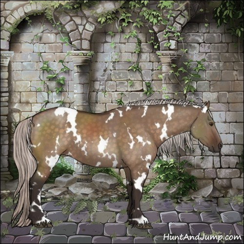 Horse Color:White Spotted Silver Brown Dun 