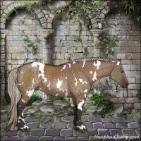 Horse Color:White Spotted Silver Brown Dun 