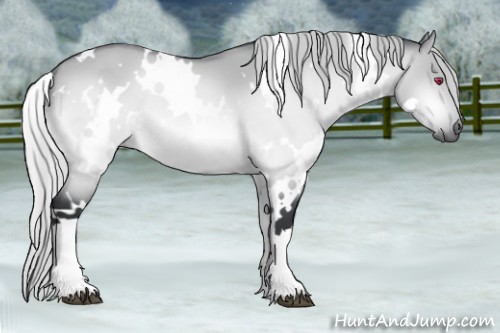 Horse Color:White Spotted Silver Bay Chinchilla Dun 