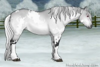 Horse Color:White Spotted Silver Bay Chinchilla Dun 