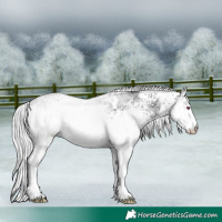 Horse Color:White Spotted Silver Bay Chinchilla Ice Dun 