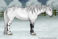 Horse Color:White Spotted Silver Bay Chinchilla Dun 