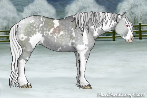 Horse Color:White Spotted Silver Grullo Chinchilla Splash 