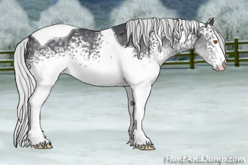 Horse Color:White Spotted Silver Black Chinchilla Tobiano 