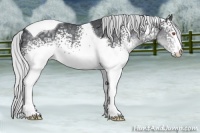 Horse Color:White Spotted Silver Black Chinchilla Tobiano 