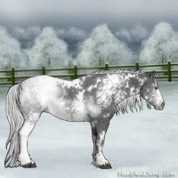 Horse Color:White Spotted Silver Brown Chinchilla Ice 