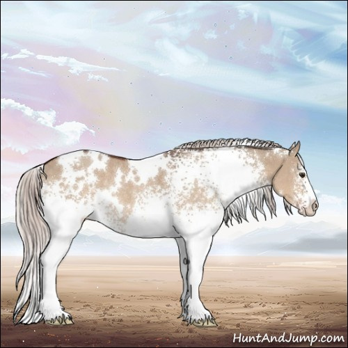 Horse Color:White Spotted Silver Brown Dun Rabicano 