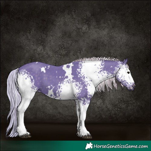 Horse Color:Watercolor White Spotted Silver Black 