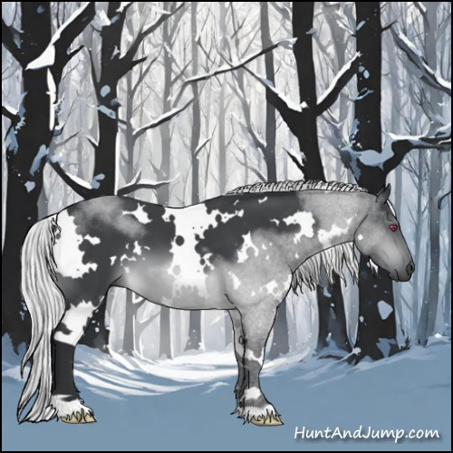 Horse Color:White Spotted Silver Brown Chinchilla 