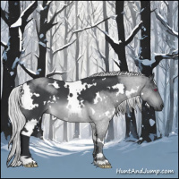 Horse Color:White Spotted Silver Brown Chinchilla