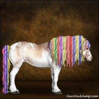 Horse Color:Painted White Spotted Silver Brown Ice Onyx Tobiano 