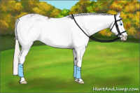 Horse Color:Silver Black Sabino Splash