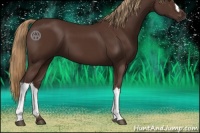 Horse Color:Liver Chestnut 