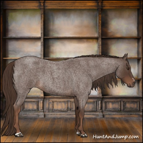 Horse Color:Liver Red Roan Sabino 