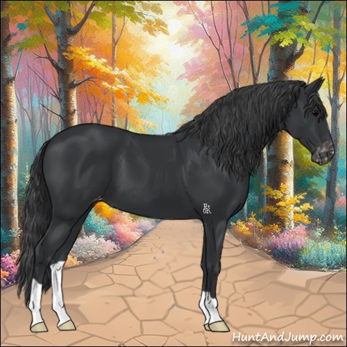 Horse Color:Black Appaloosa