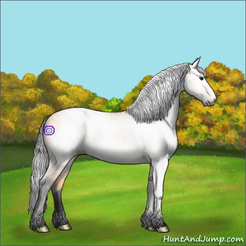 Horse Color:Gray Void Buckskin Rabicano