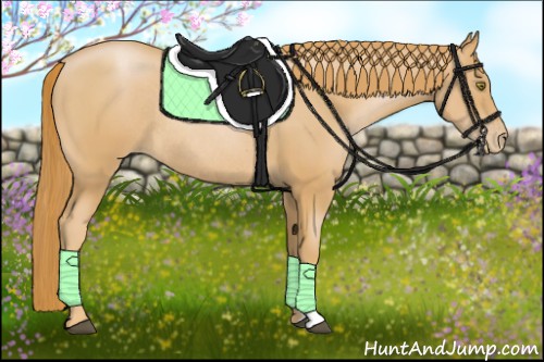 Horse Color:Chestnut Pearl Rabicano 