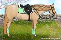 Horse Color:Chestnut Pearl Rabicano 