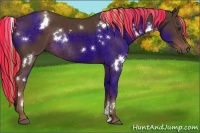Horse Color:Painted White Spotted Liver Chestnut Rabicano 