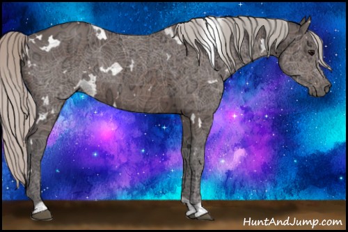 Horse Color:White Spotted Silver Brown Ice Rabicano 