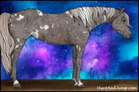 Horse Color:White Spotted Silver Brown Ice Rabicano 