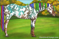 Horse Color:Painted White Spotted Chestnut Appaloosa Rabicano 