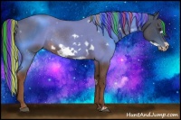 Horse Color:Painted White Spotted Liver Red Roan Frame Rabicano 