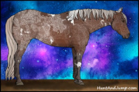 Horse Color:White Spotted Silver Brown Ice Rabicano 