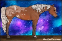 Horse Color:White Spotted Silver Bay Ice Rabicano 