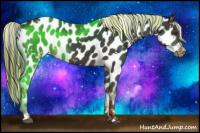 Horse Color:Painted White Spotted Liver Chestnut Appaloosa Rabicano 