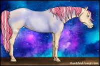 Horse Color:Painted White Spotted Silver Buckskin Pearl Rabicano 