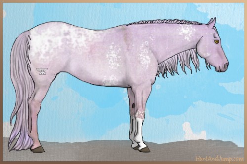 Horse Color:Watercolor Plaid White Spotted Chocolate Palomino Ice Roan Dun