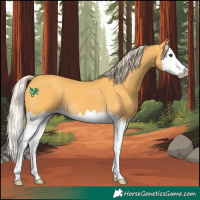 Horse Color:Palomino Splash 