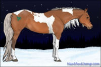 Horse Color:Silver Bay Tobiano