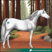 Horse Color:Gray White Spotted Liver Chestnut Tobiano 