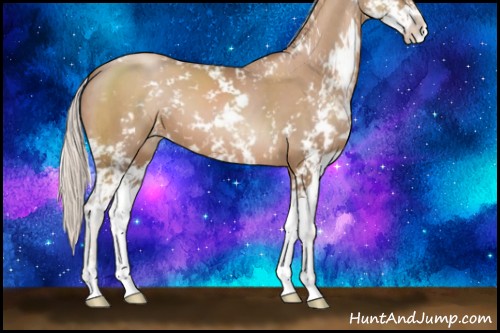 Horse Color:Silver Black Pearl Sabino 