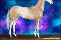 Horse Color:Silver Black Pearl Sabino 