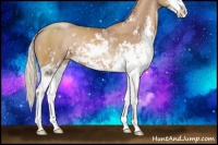 Horse Color:Silver Black Pearl Sabino Rabicano 
