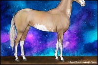 Horse Color:Silver Black Pearl Sabino 