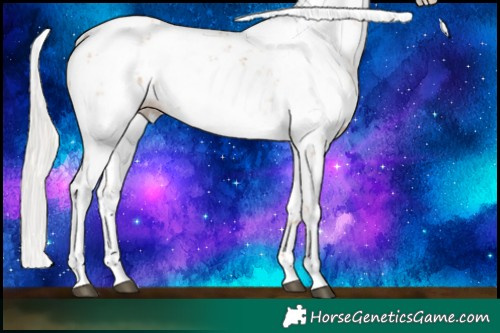 Horse Color:Silver Black Pearl Sabino 