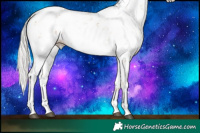 Horse Color:Silver Black Pearl Sabino 